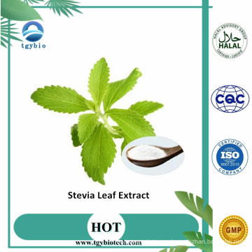 Rebaudiósido de extracto de hoja de stevia un total de glucósidos de steviol